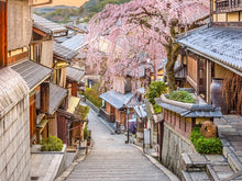 Load image into Gallery viewer, The 8 best places to travel in Asia in 2020